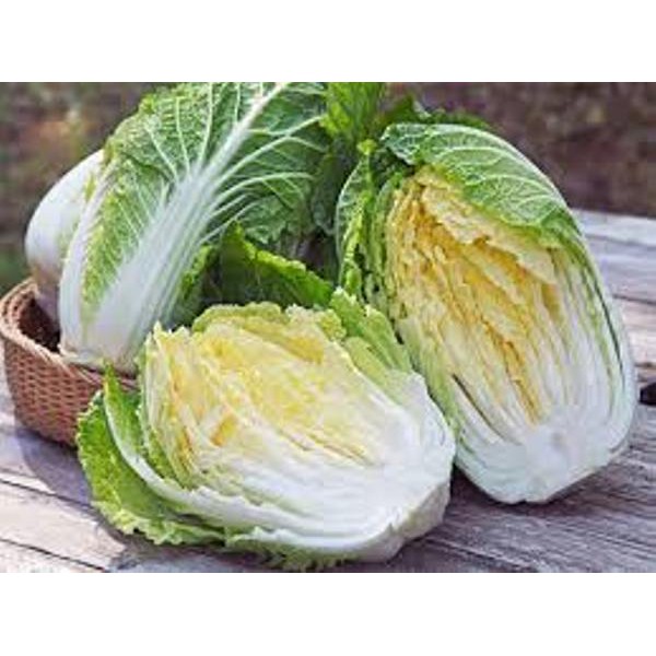 MJ29F Gói Hạt Giống Cải Thảo Năng Suất, Giòn, Ngọt, Giàu Dinh Dưỡng Gói 50 hạt Giống Mới Chịu Nhiệt 4 Mùa