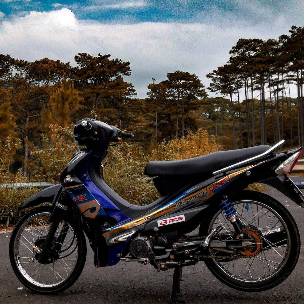 [HCM]Tem xe Elegant  tem rời cao cấp dán xe đen  xanh đen