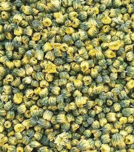 [HCM]Trà Nụ Hoa Cúc Kim Cương 100gr