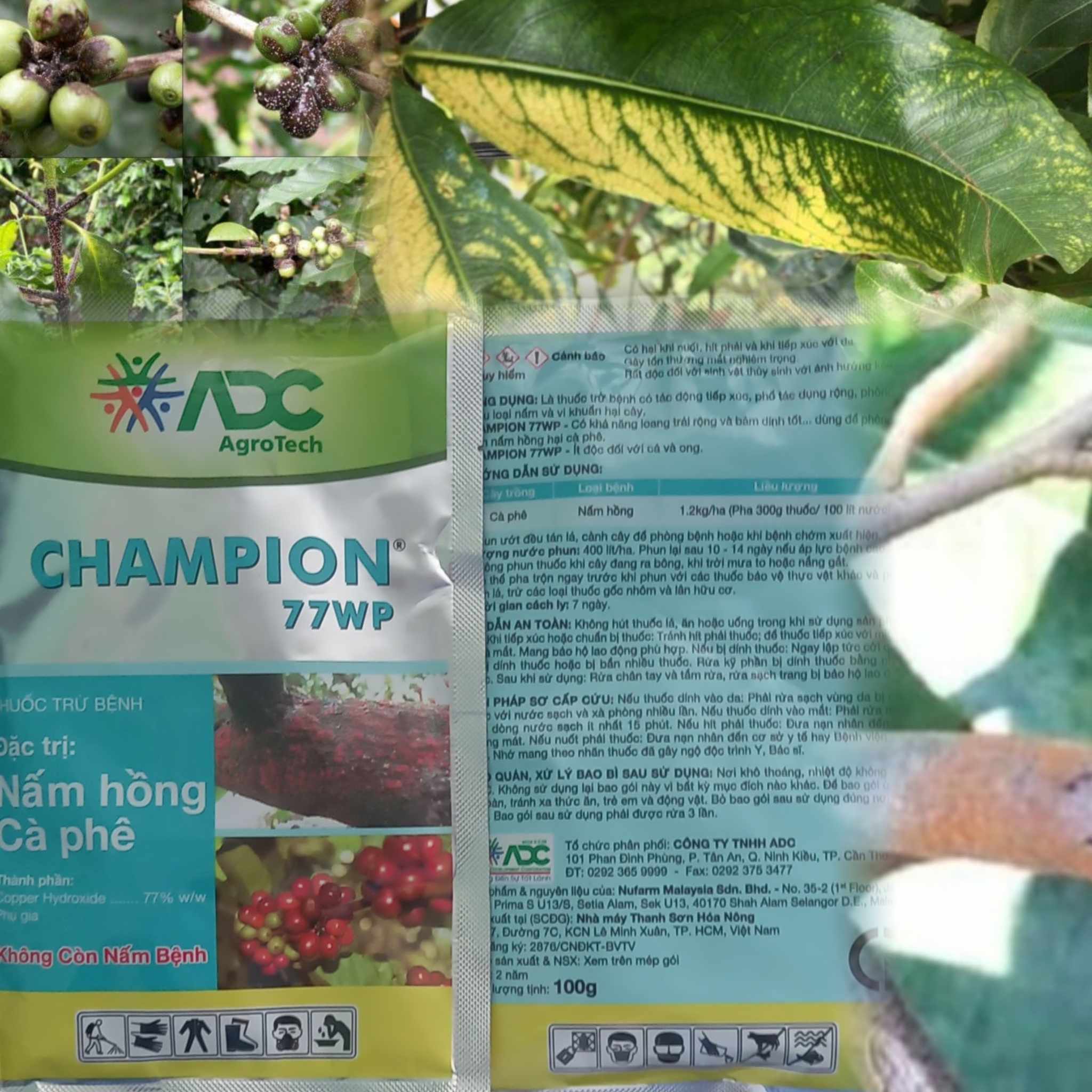 Thuốc Trừ Bệnh CHAMPION 77WP (100g)