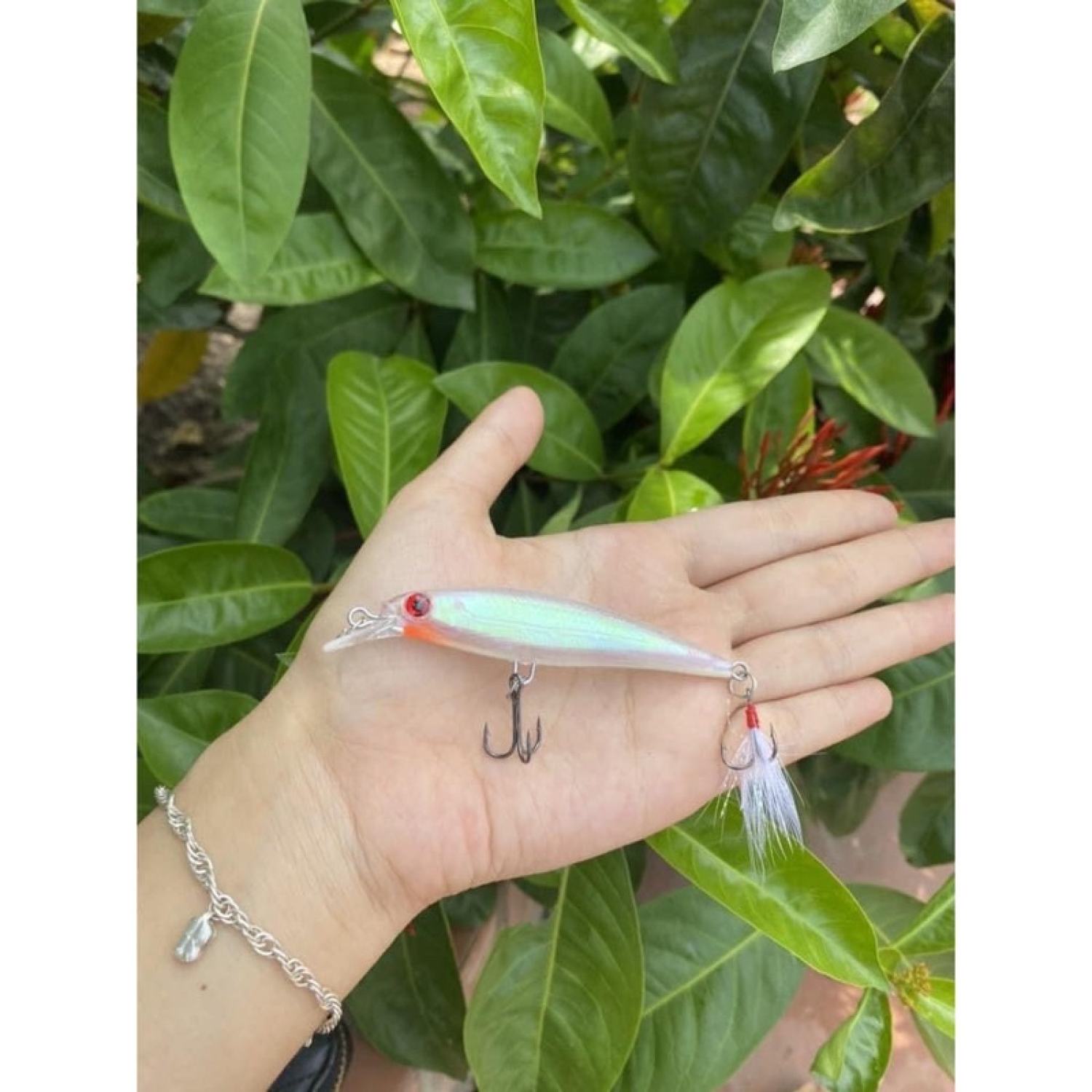 Mồi Câu Cá Chẽm Cá Mú Cá Ngão Cá Biển Đuôi Lông