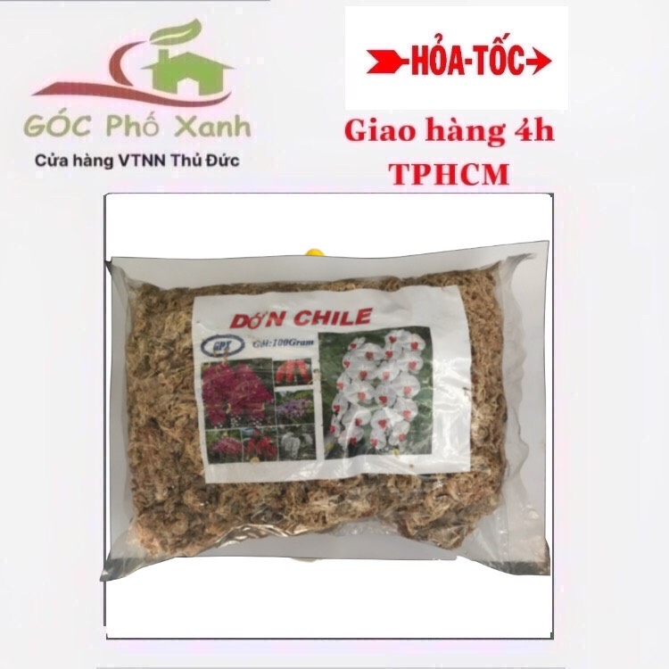 Dớn trắng chile trồng lan Hồ điệp