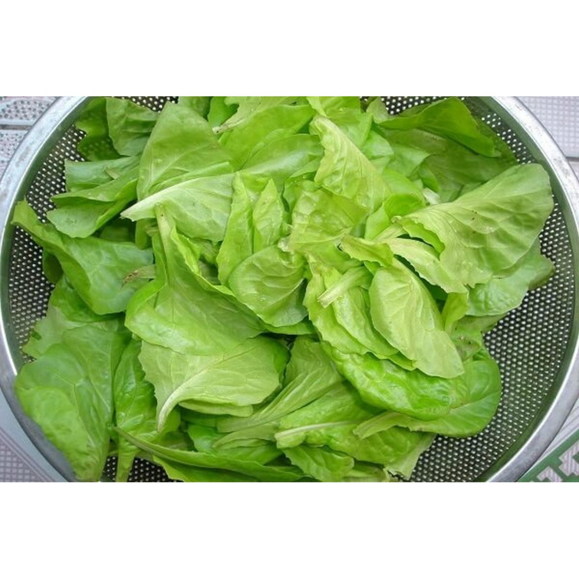 10g Hạt giống Xà lách baby