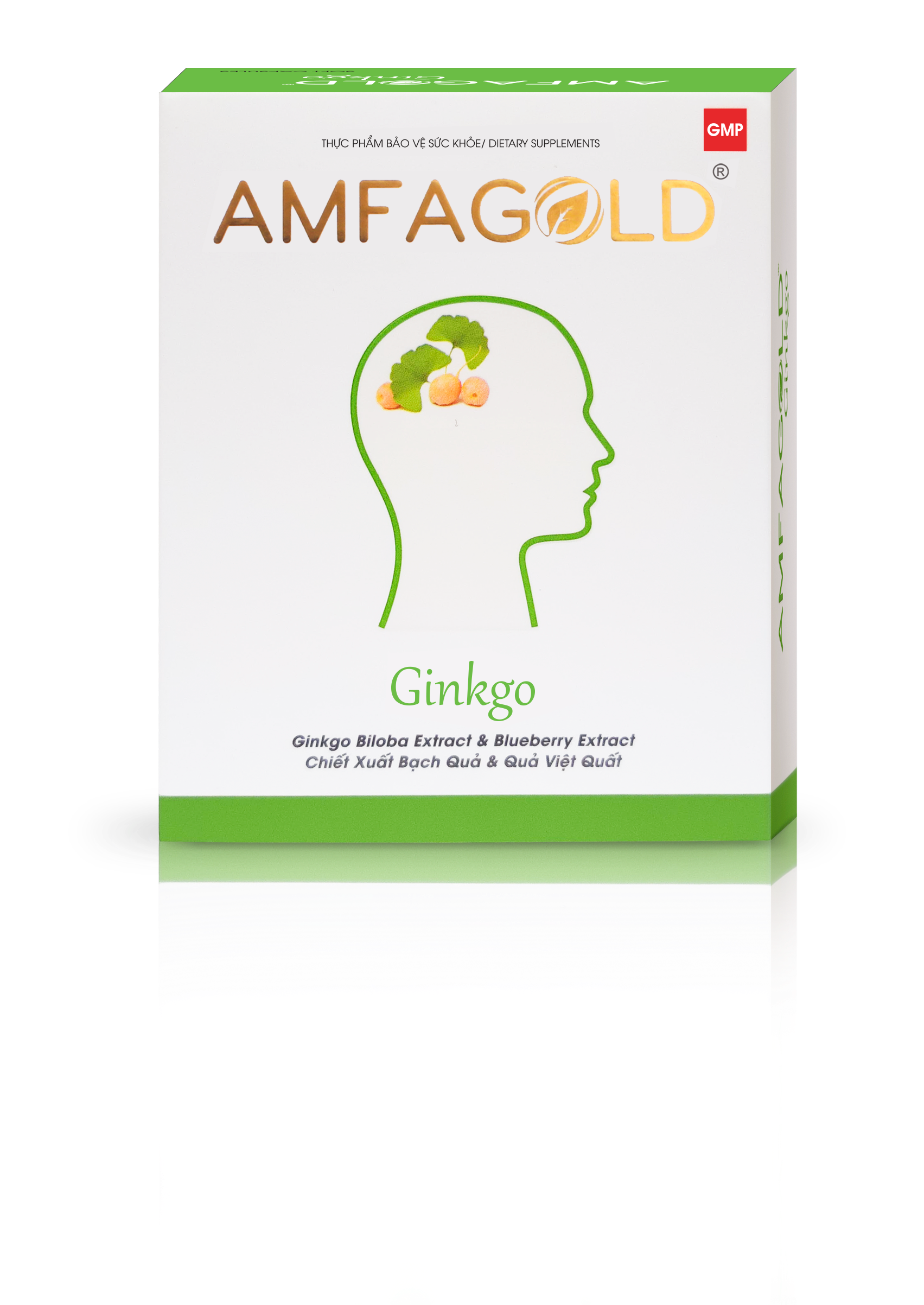 Viên Uống Hỗ Trợ Tuần Hoàn Não Amfagold Ginkgo