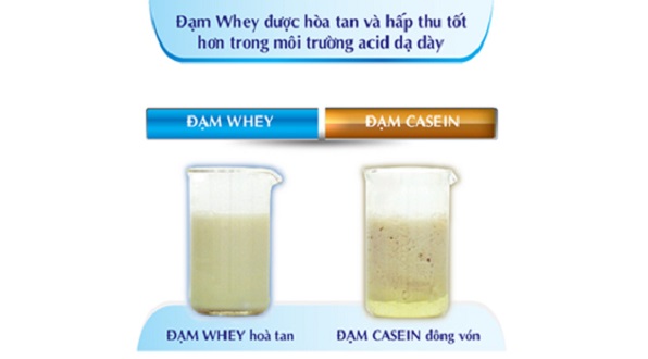Sữa Peptamen 400g