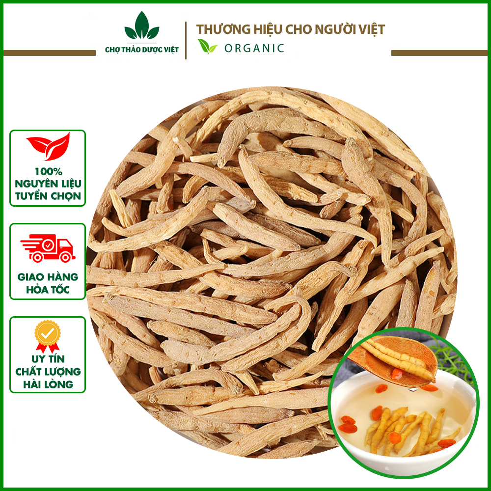 Sâm đất 100g - chợ thảo dược việt