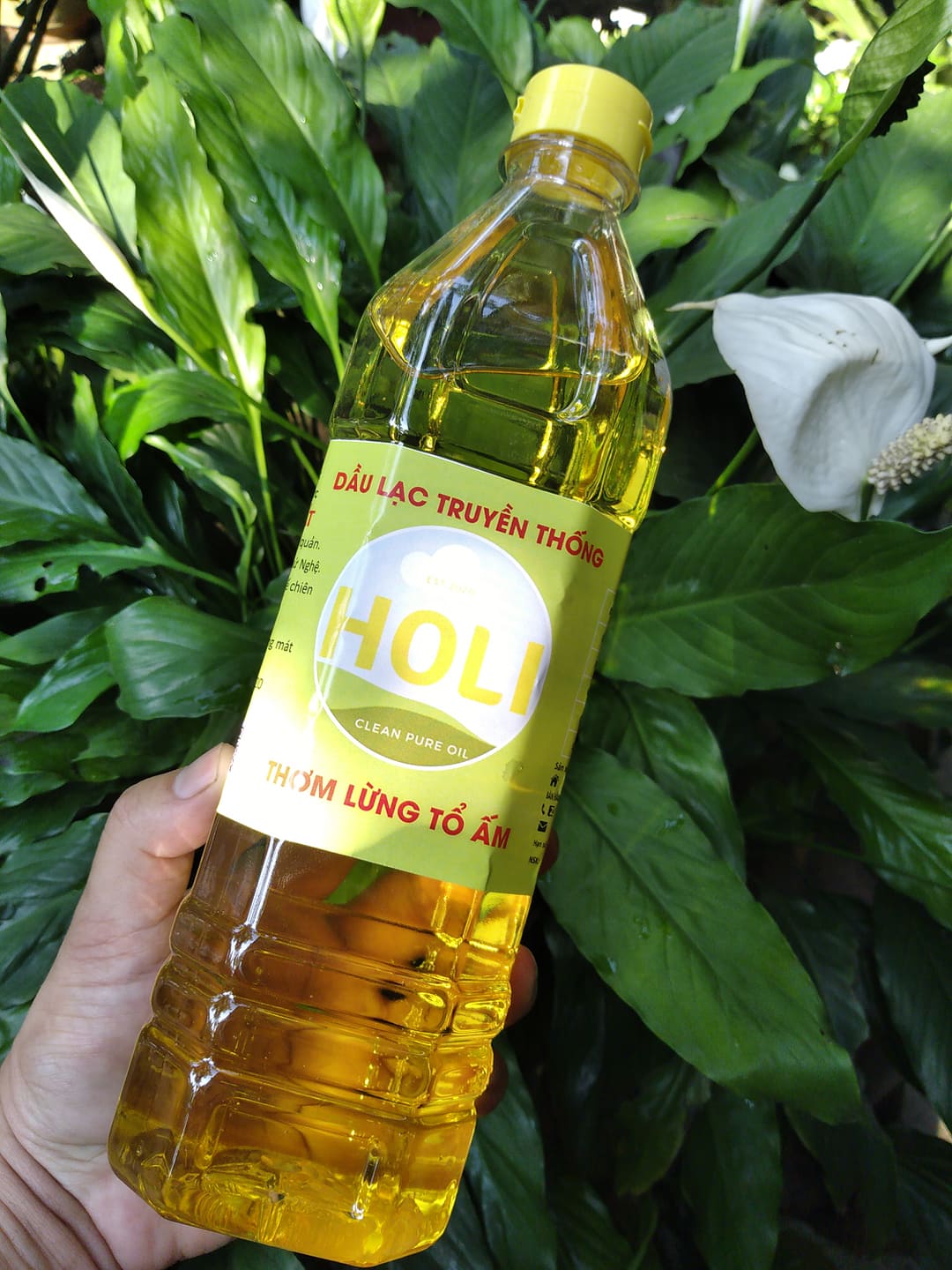 Dầu lạc nguyên chất ép lạnh Holi 1L