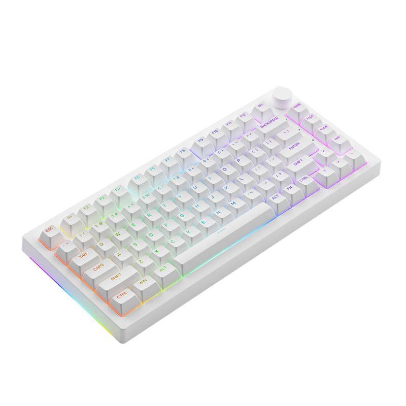 Akko 5075b plus mechanical keyboard White (multi-moment/RGB/gasket mount) -authentic