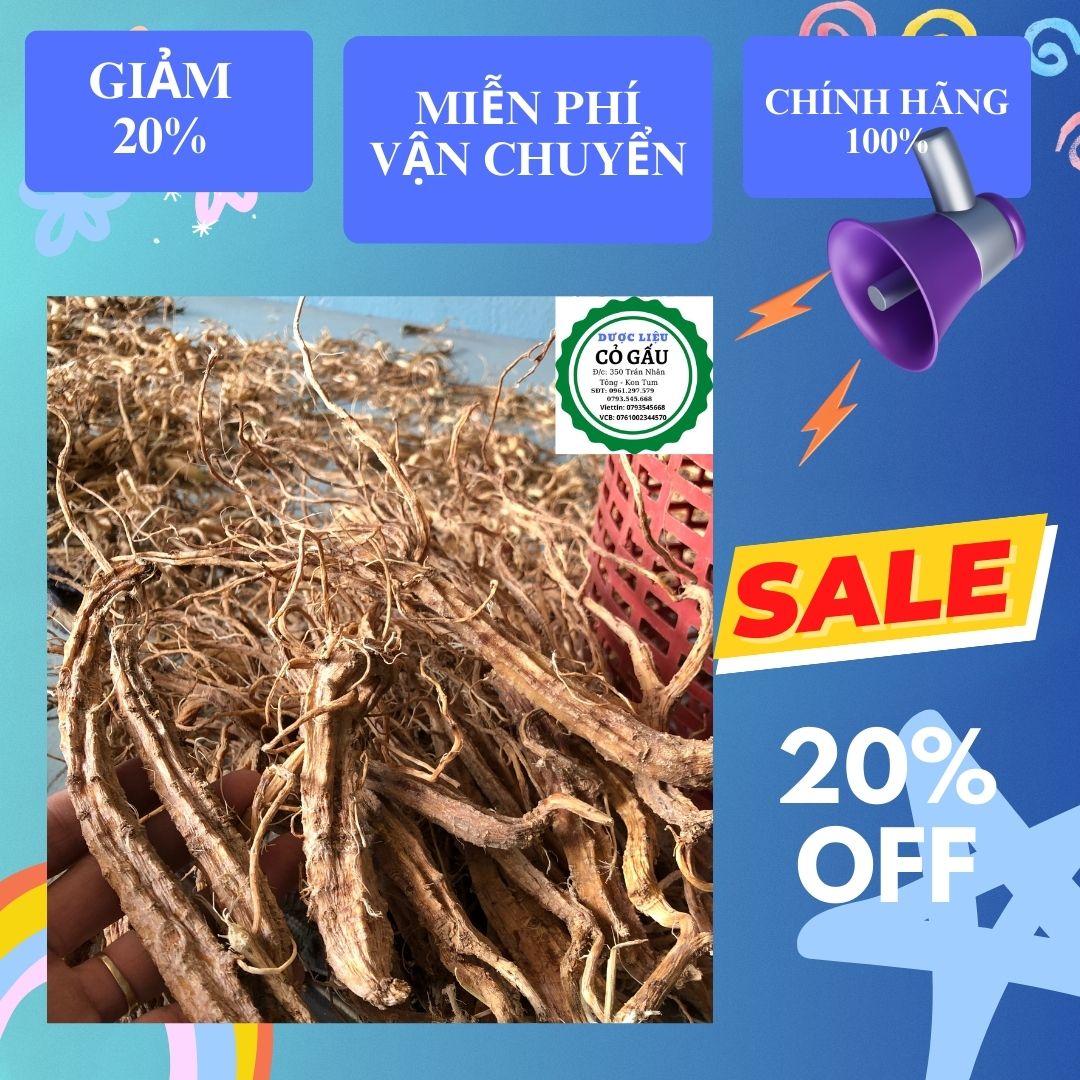 Sâm dây ngọc linh sấy khô chuẩn hàng kon tum hàng dùng quà biếu 1kg
