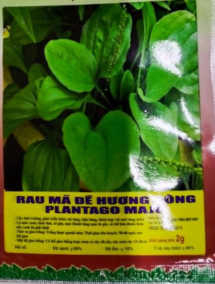 Hạt Rau Mã Đề - Gói 2 Gram