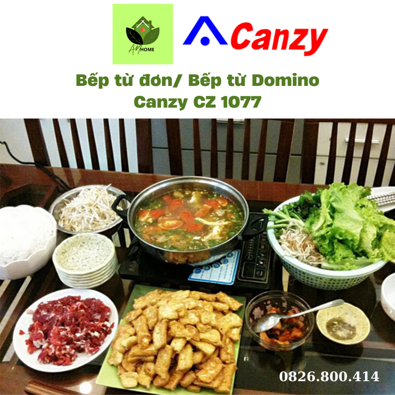 Bếp từ đơn/ Bếp từ Domino Canzy CZ 1077