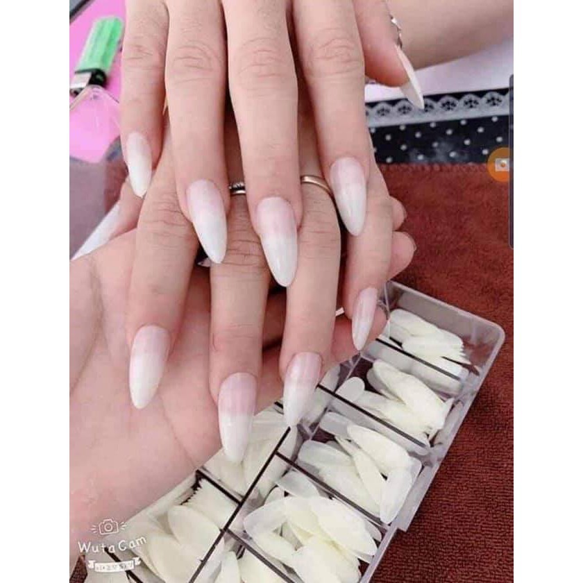 Móng up nhọn bầu dục, móng úp ovan
