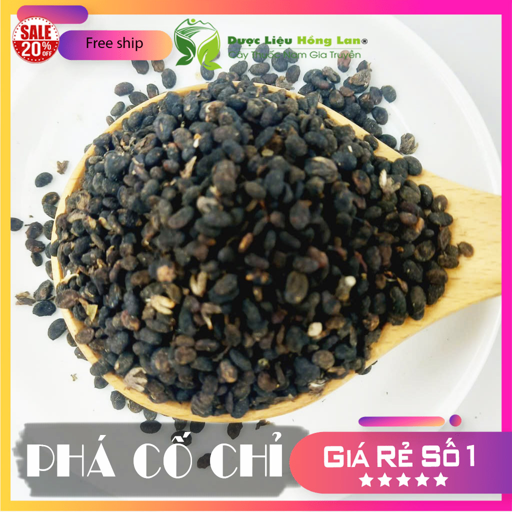 ✅[Thượng hạng] 100G Phá Cố Chỉ (Bổ Cốt Chỉ) khô sạch loại 1