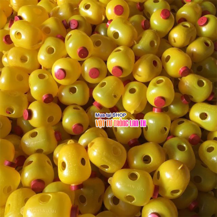 Dụng cụ bẫy ruồi vàng hại trái – D86