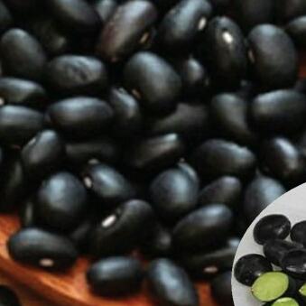 1kg hạt đỗ đen xanh lòng