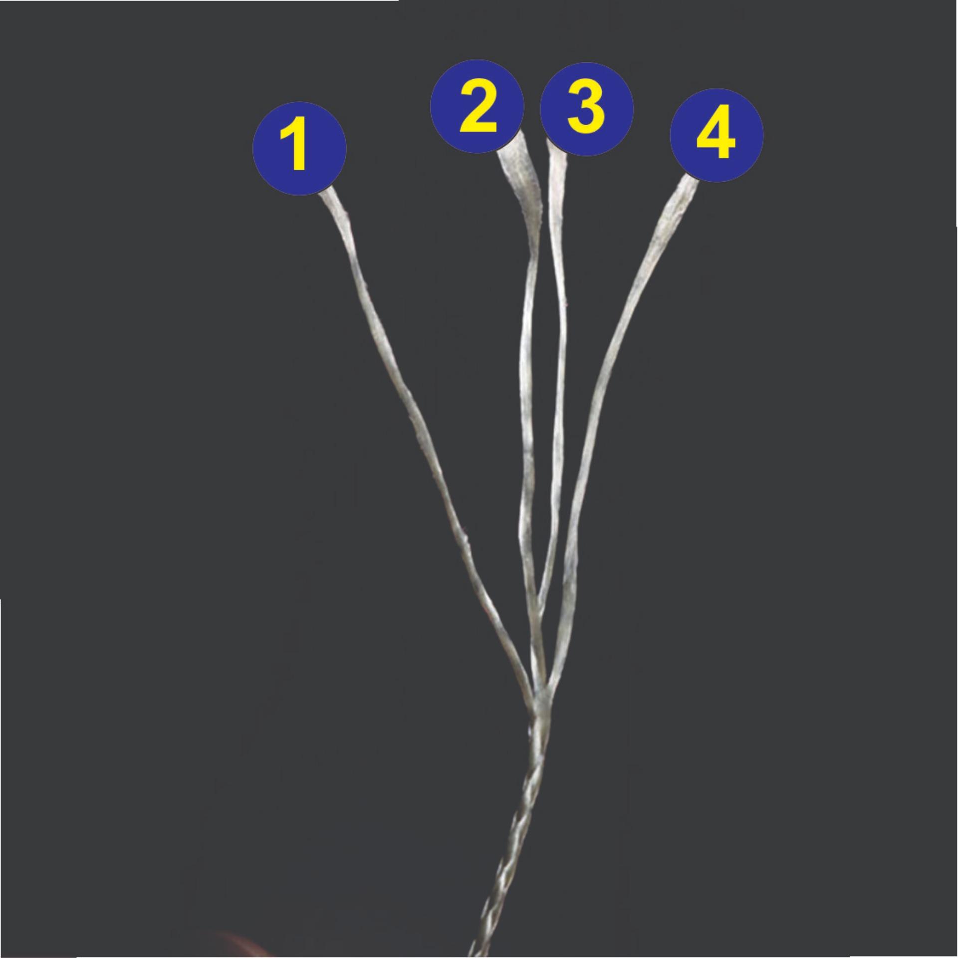 Dây Dù Siêu Bền - PE - ULTRA - X4