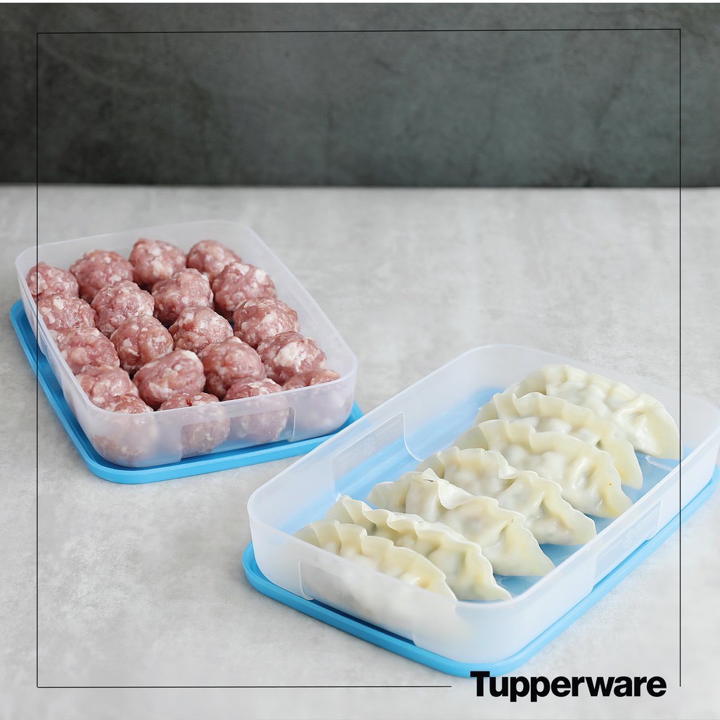 Hộp Trữ Đông Dẹt Tupperware 550ml - Tupperware Mall Chợ Lớn