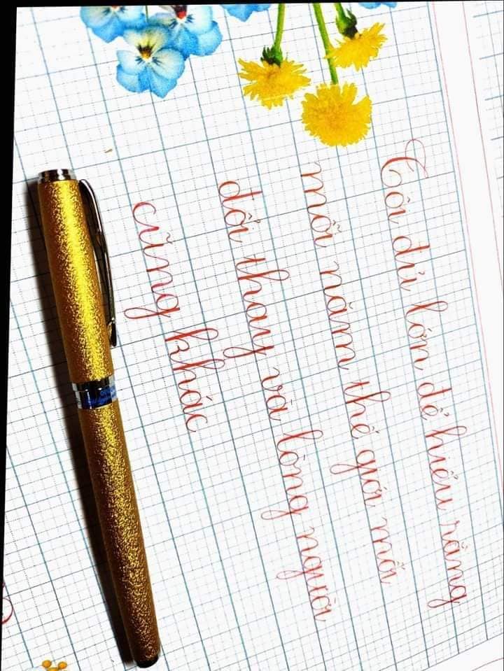Bút Calligrapphy 005