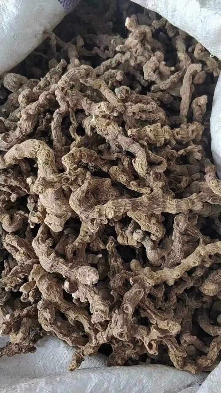 Tam Thất Hoang 100gr
