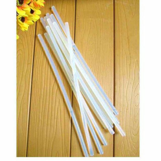 10 cây Keo nến bé loại tốt 25cm