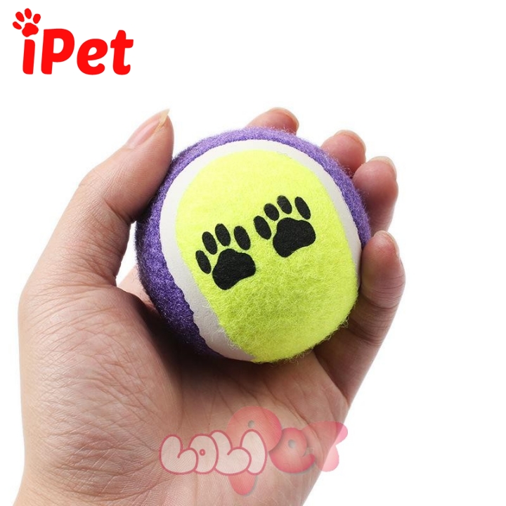 Bóng Tennis Chân Chó