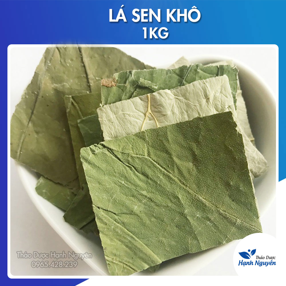 Lá sen khô 1kg - Thảo Dược Hạnh Nguyên