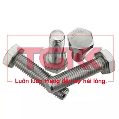 Bulong inox 304 M10