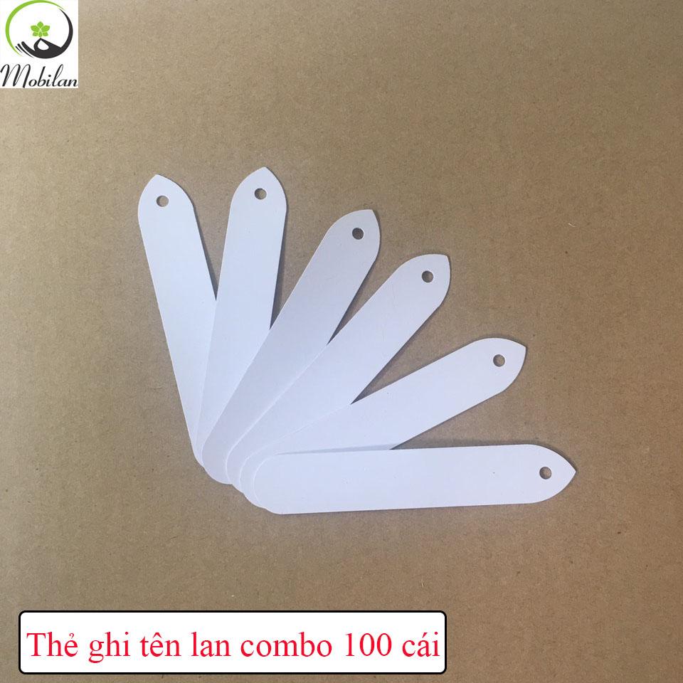 Thẻ ghi tên lan ( 100 cái)