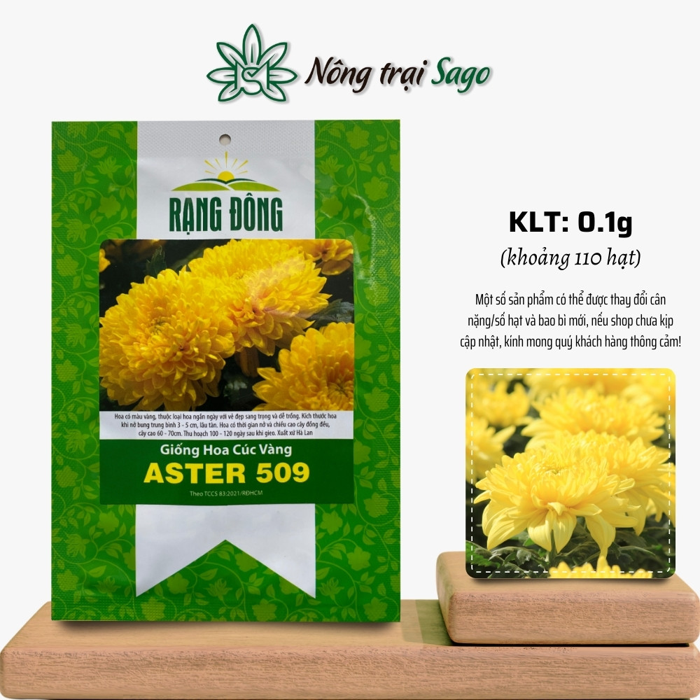 Hạt giống Hoa Cúc Vàng Aster 509 thân cao, thích hợp trồng chậu hoặc cắt cành, hiệu Hạt giống Rạng Đông - Nông Trại Sago