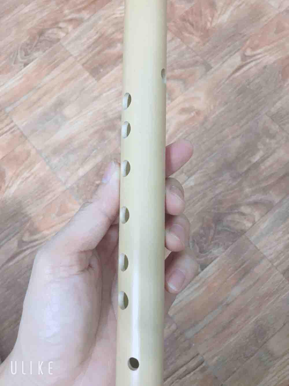 Sáo mèo nam tone đô chất lượng cao