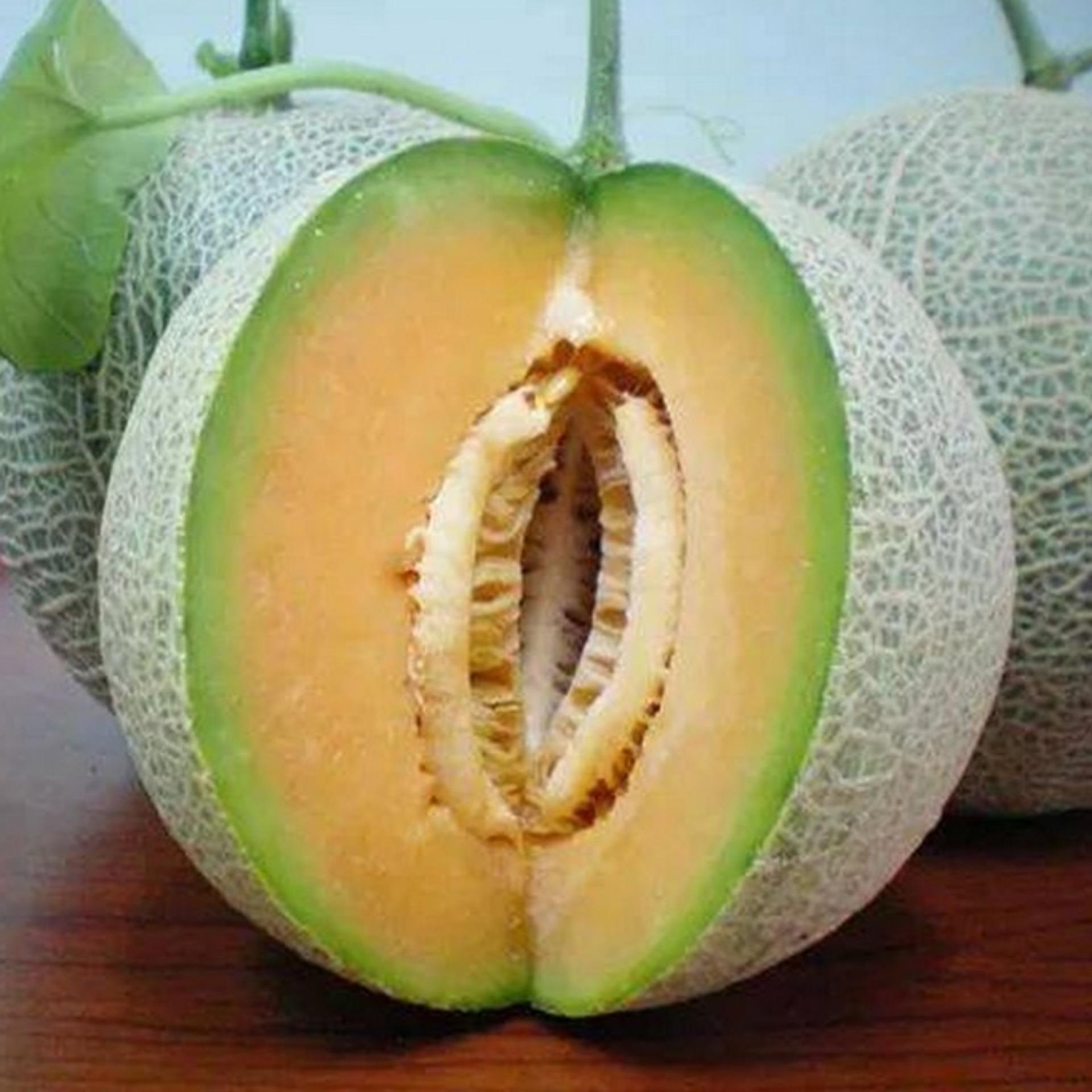 1g Hạt giống Dưa lưới  (tặng Kích nẩy mầm, Hướng dẫn ươm)