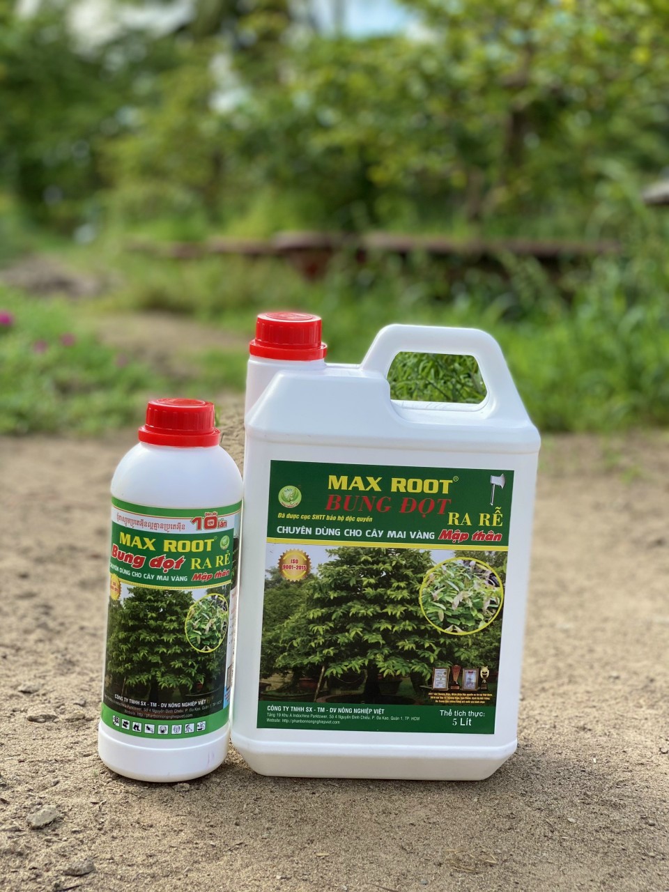 MAX ROOT BUNG ĐỌT RA RỄ MAI VÀNG CHAI 500ML