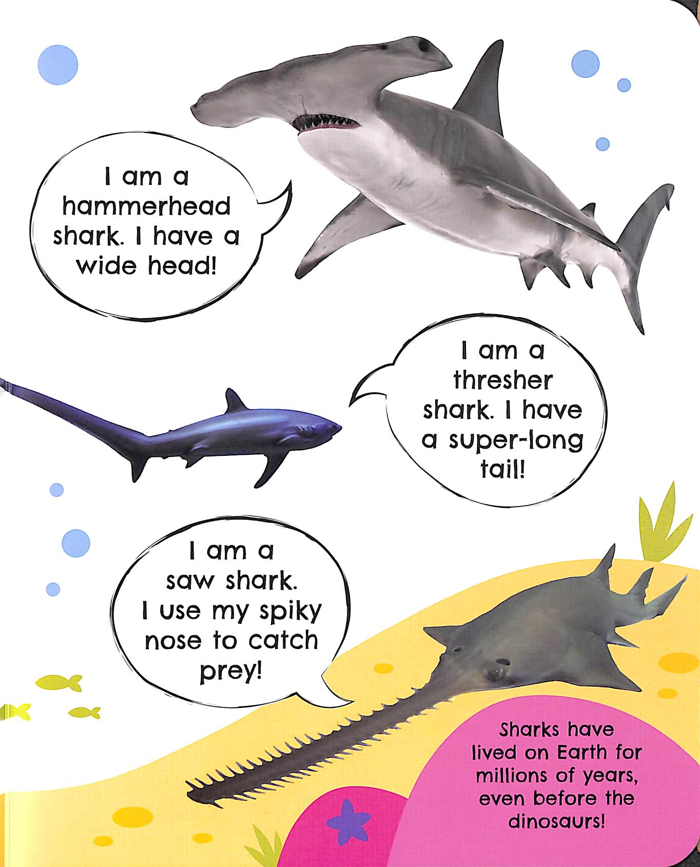 BOOKMEDI - First Facts Farm Sharks