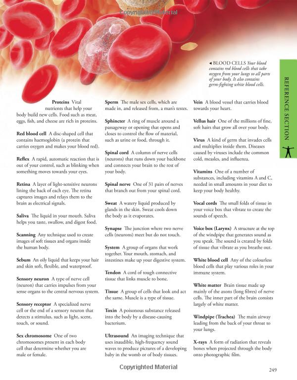 Fahasa - Human Body A Children's Encyclopedia