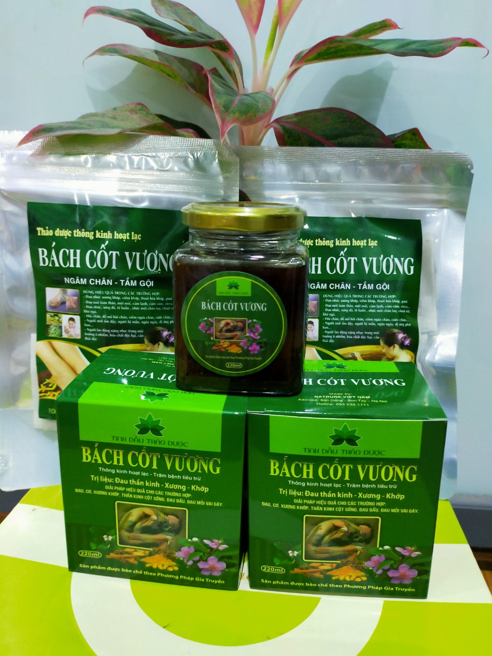 Tinh dầu xoa bóp Bách Cốt Vương