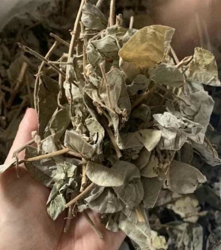 1kg kim tiền thảo khô sạch
