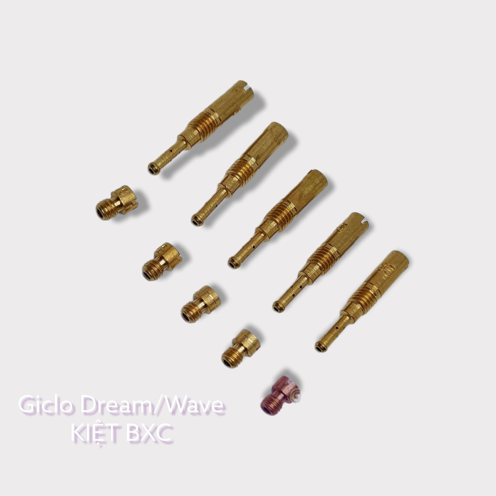 10 GICLO CHÍNH PHỤ DREAM/WAVE/CUB
