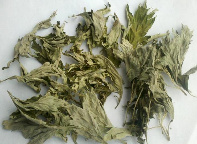Lá xô thơm đen black sage bán lẻ
