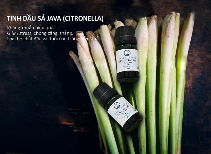 Tinh dầu sả Java Citronella Nguyên Chất