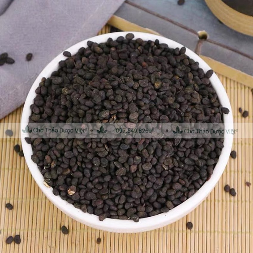 Phá cố chỉ khô 100g, bổ cốt chỉ hỗ trợ bổ thận tráng dương, điều hòa kinh nguyệt, lợi tiểu