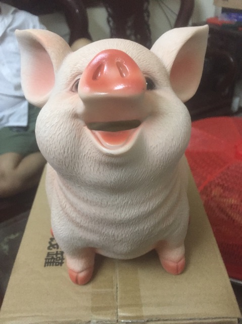 Lợn đất siêu xinh và cute