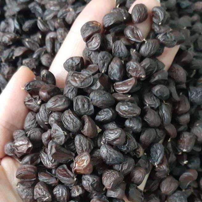 100 HẠT DỔI NẾP