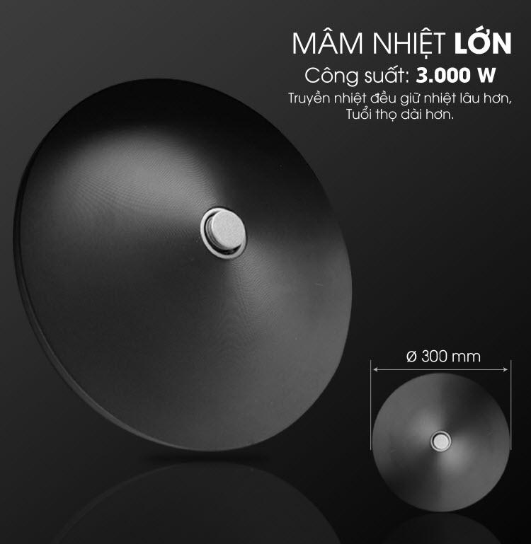 Nồi cơm điện công nghiệp SATO P12 12L (Màu vàng nhạt)