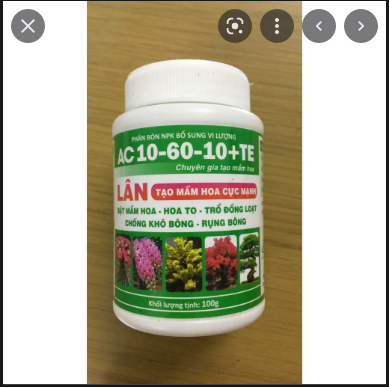 Phân Bón Siêu Lân 10-60-10+TE Tạo Mầm Hoa (Hủ 100gr)