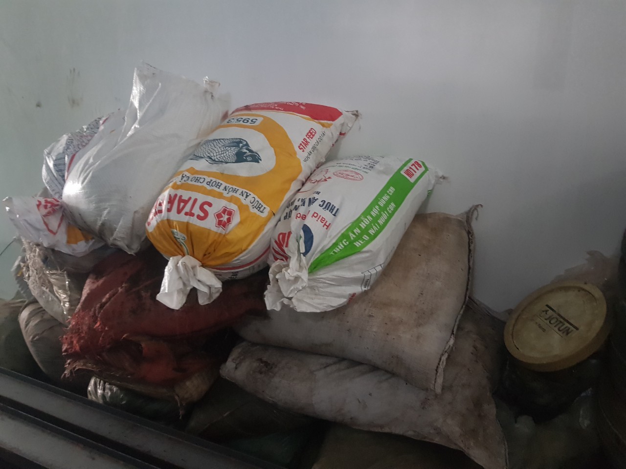 [SP000215-10] COMBO 10KG - TẶNG NGAY 5KG PHÂN CHIM YẾN NGUYÊN CHẤT KHÔNG PHA