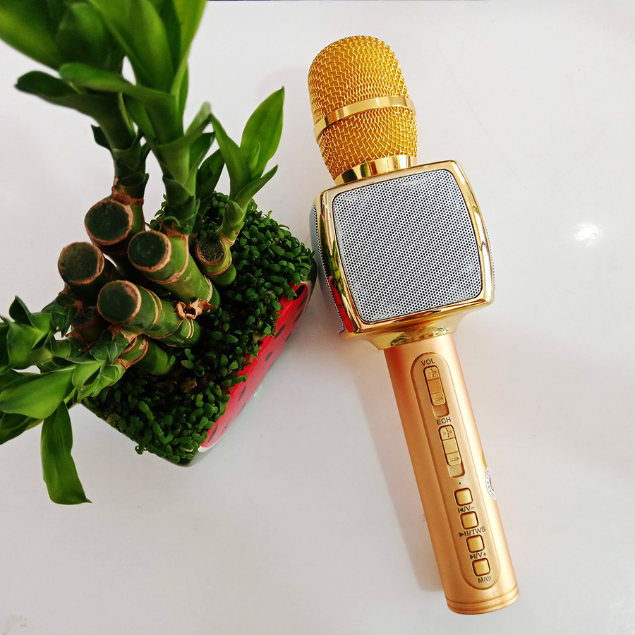 Micro karaoke kèm loa bluetooth SD16