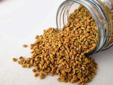 Gói 20g hạt giống mầm thảo dược Methi