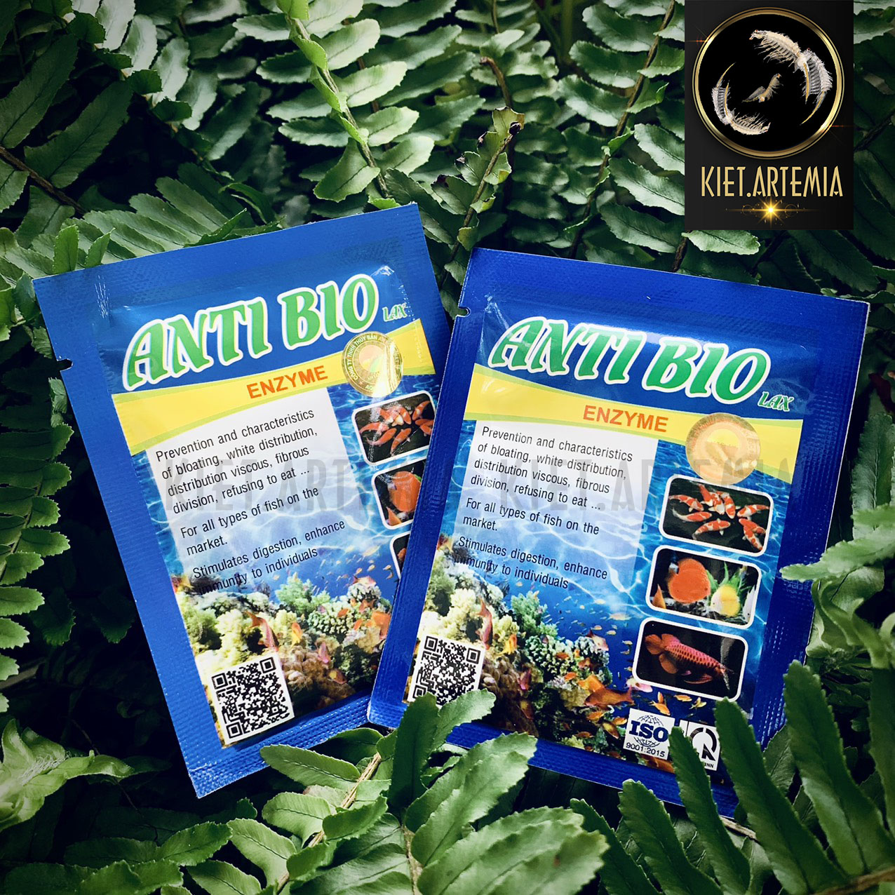 Men tiêu hóa cho cá cảnh Anti Bio 10gr
