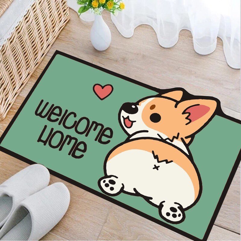 combo 2 thảm chùi chân 40x60