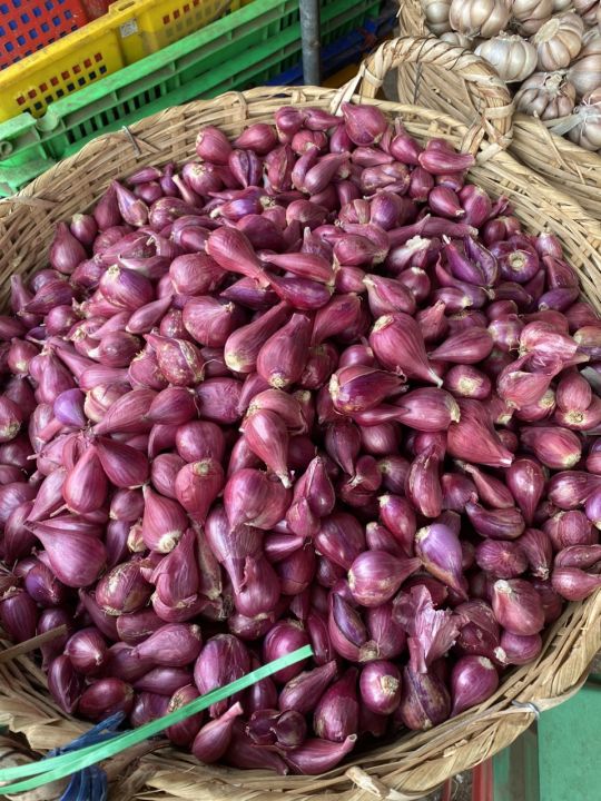 hành tím phan rang